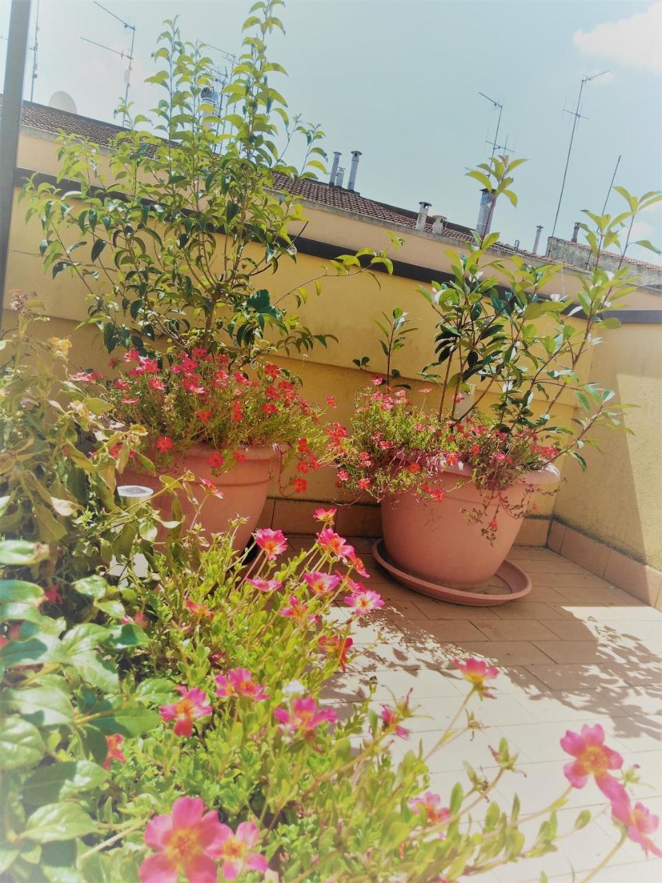 Appartamento Malu 마테라 외부 사진